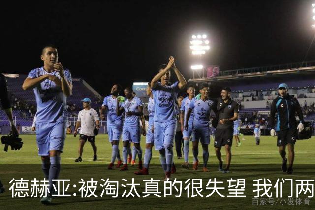 德赫亚:被淘汰真的很失望 我们两场比赛都做得不够