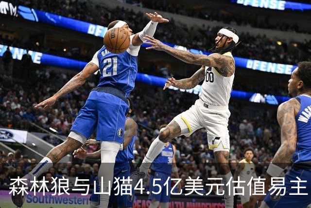 森林狼与山猫4.5亿美元估值易主 洛尔退位罗德里格斯携新资方接盘